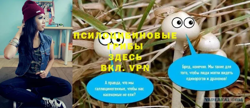 Псилоцибиновые грибы MAGIC MUSHROOMS  Козельск 